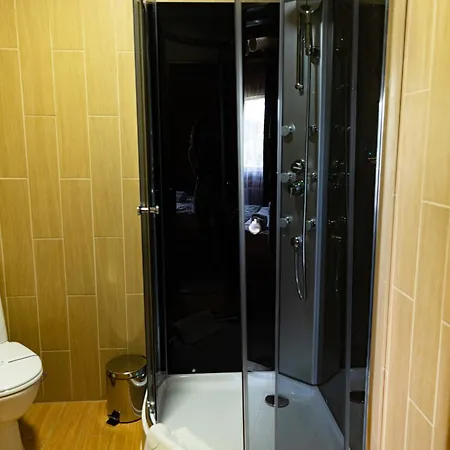 Svoi פליאניטסיה